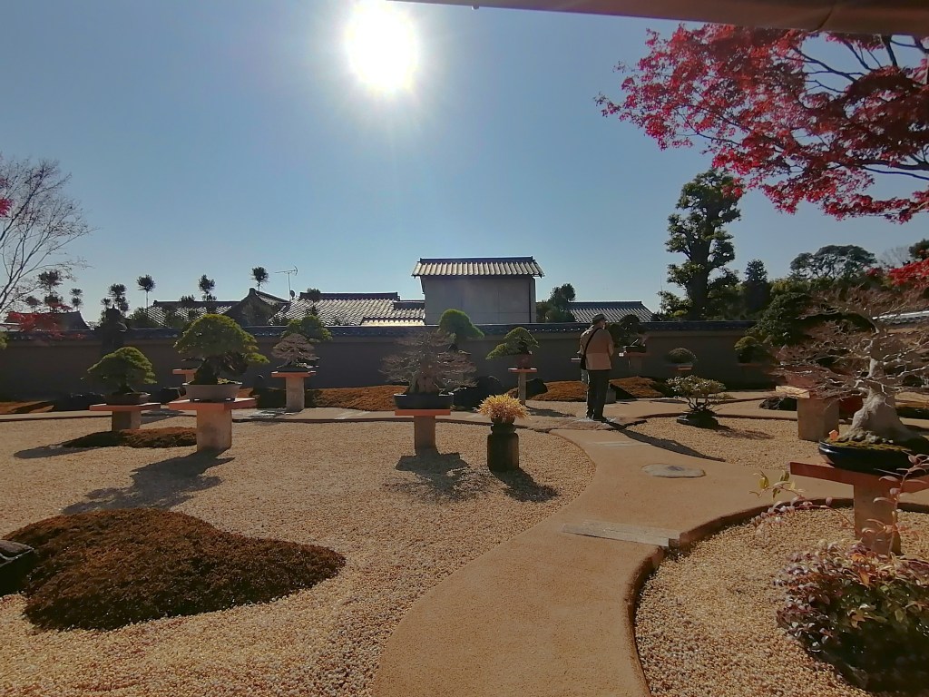 Daitoku-ji Bonsai Exhibit