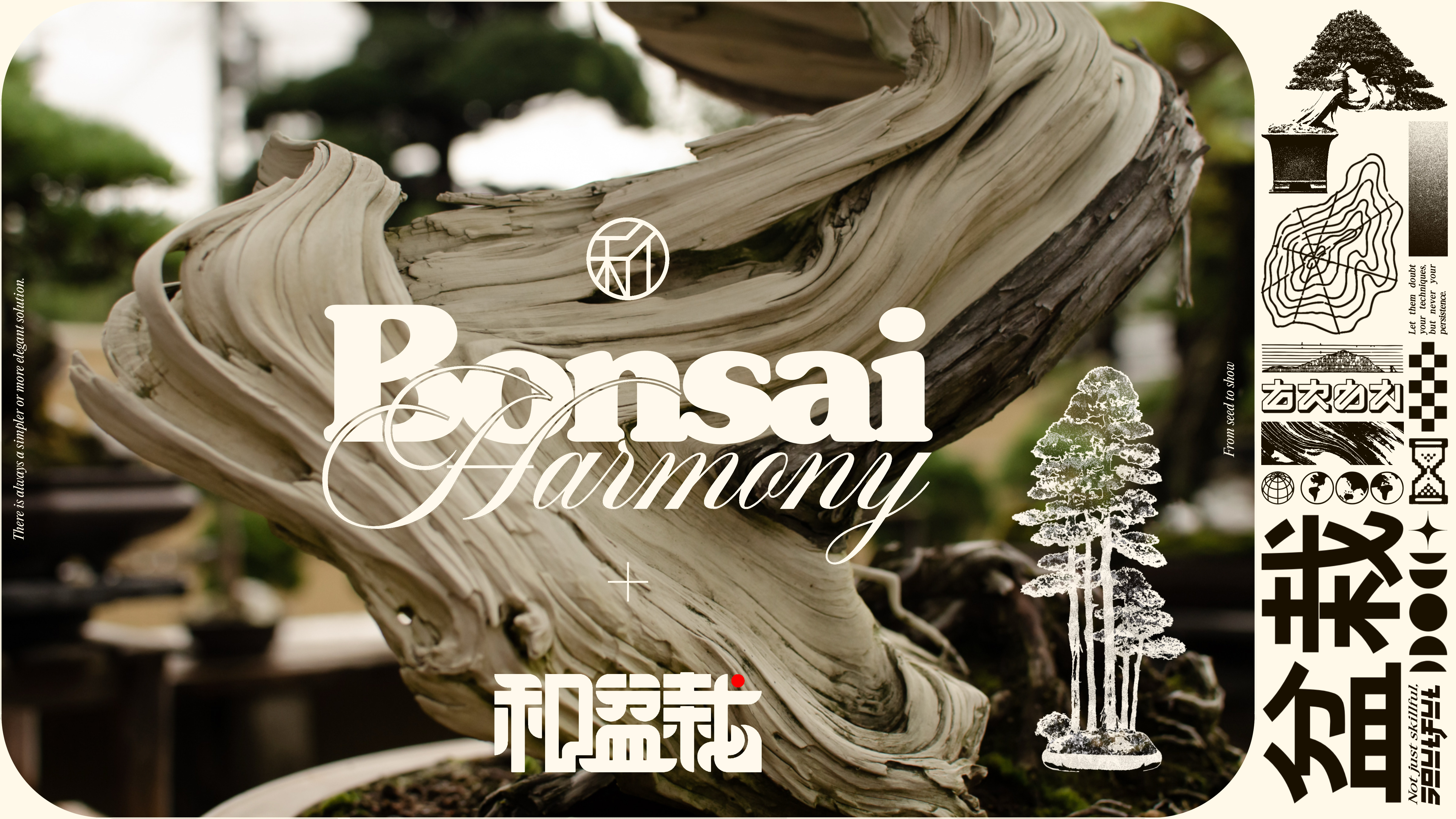 Bonsai Harmony
